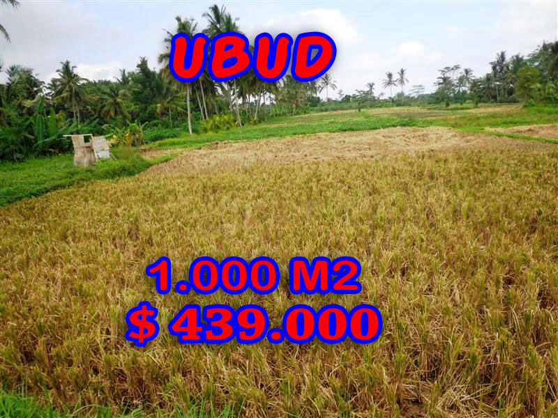 land in Ubud Bali for sale