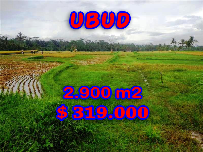 Land-in-Ubud-for-sale