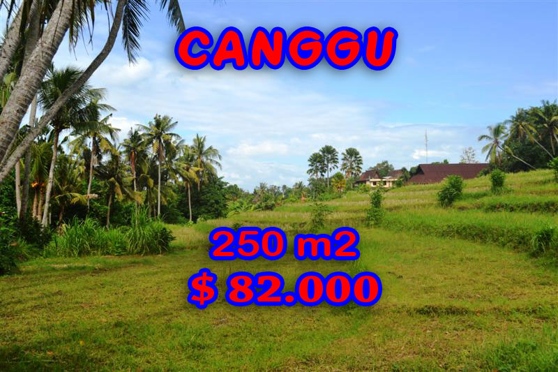 Land for sale in Bali