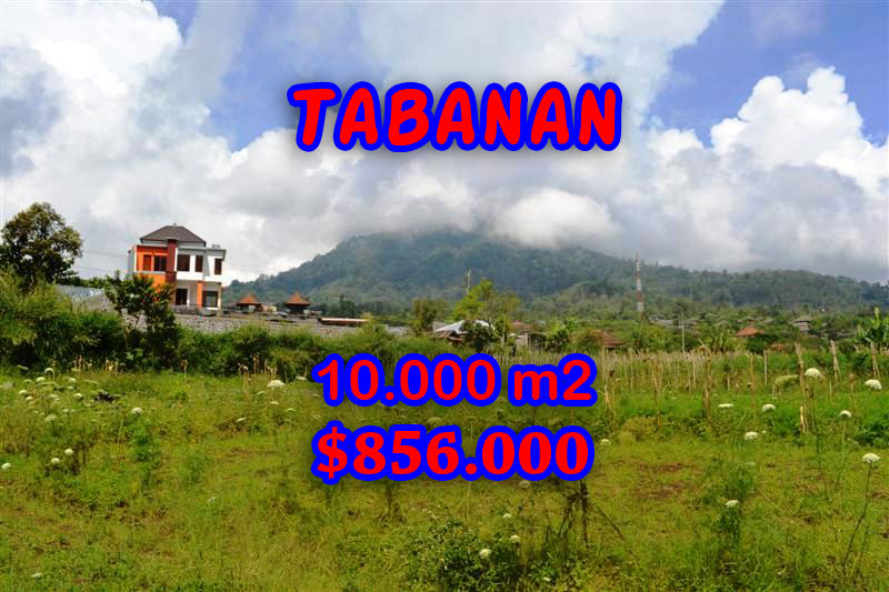 Land in Tabanan Bali for sale