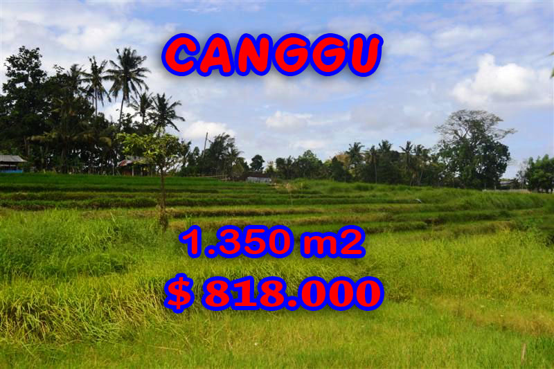Land sale in Canggu Bali