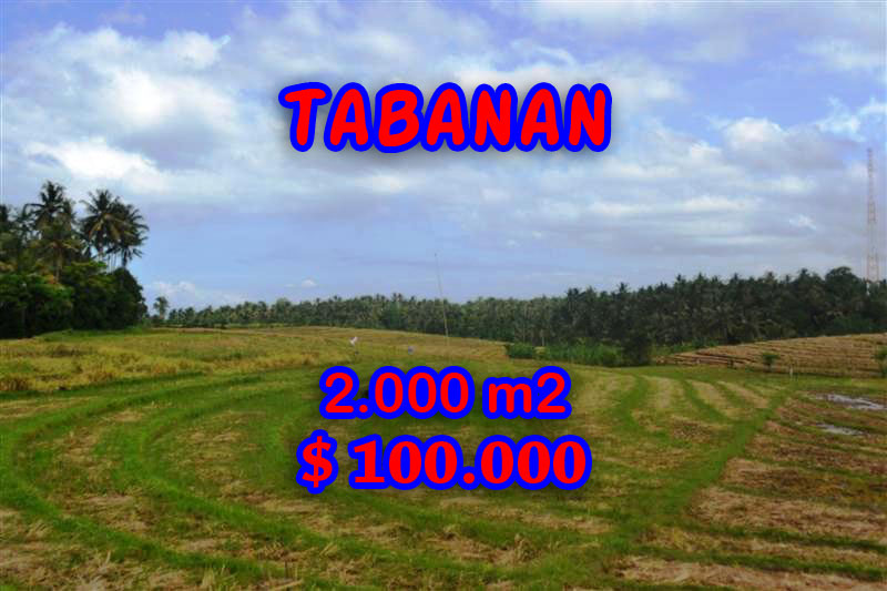 Land in Tabanan Bali for sale