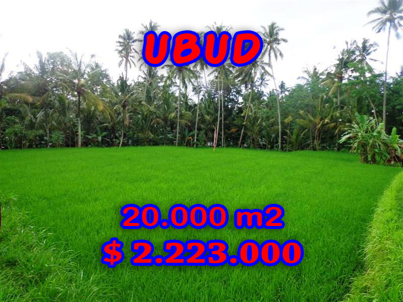 Land-for-sale-in-Ubud-Bali