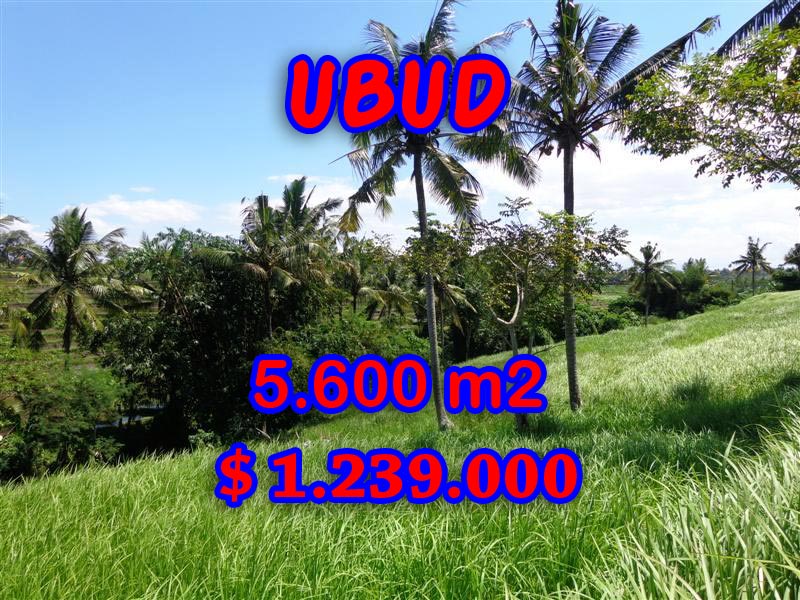 Land sale in Ubud