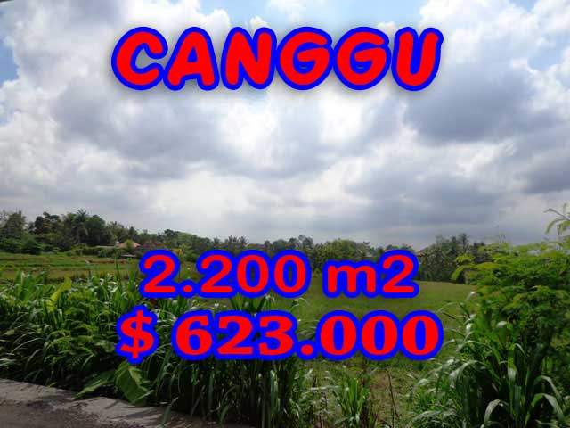 PROPERTY FOR SALE IN CANGGU LAND 