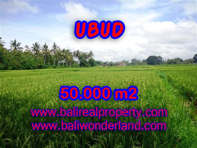 Exotic Land for sale in Ubud Bali, paddy view by the river in Central Ubud – TJUB351