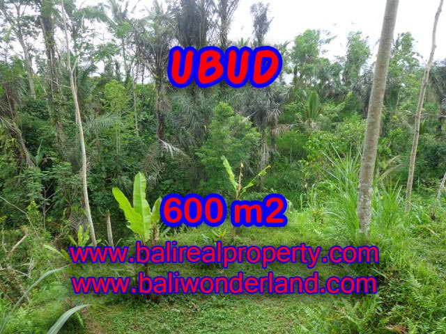 Fantastic Land for sale in Ubud Bali, paddy field view in Ubud Tegalalang – TJUB346
