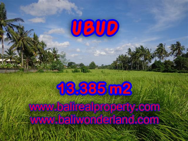Land for sale in Ubud Bali, Wonderful view in Central Ubud – TJUB357