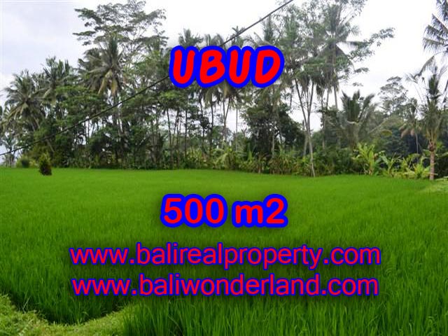 Astonishing Property for sale in Bali, LAND FOR SALE IN UBUD Bali – TJUB364