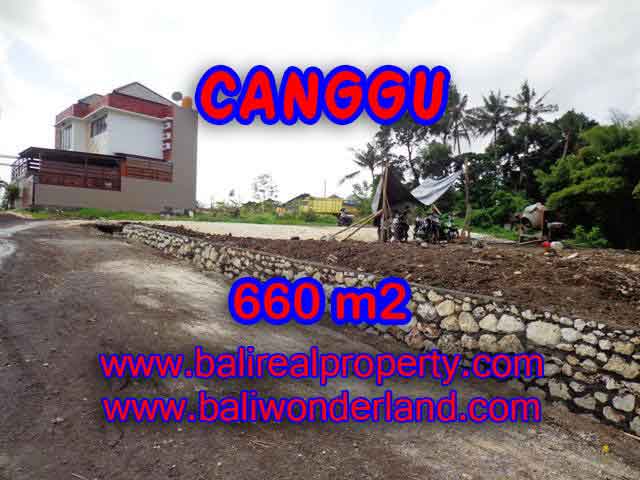 Property sale in Bali, Beautiful land in Canggu for sale – TJCG149