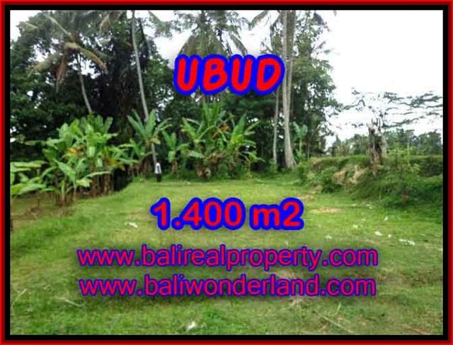 Outstanding Property for sale in Bali, land for sale in Ubud Bali – TJUB419