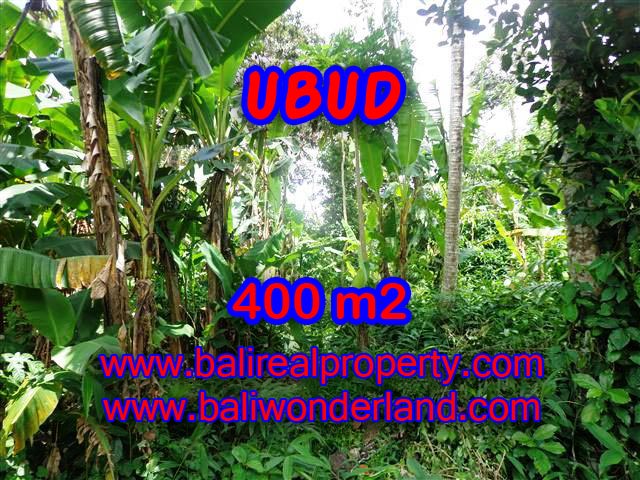 Spectacular Property in Bali, land for sale in Ubud Center – TJUB371