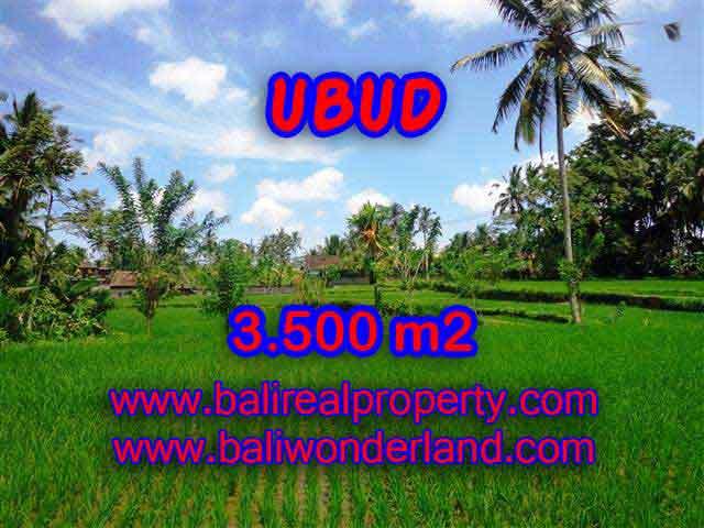 Land for sale in Ubud Bali, Great view in Ubud Tegalalang – TJUB388