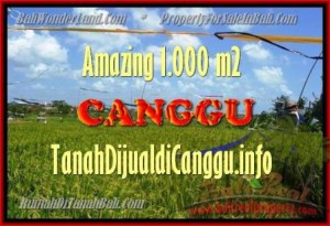 Beautiful 1.000 m2 LAND SALE IN CANGGU TJCG154
