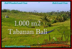 LAND FOR SALE IN Tabanan Selemadeg BALI TJTB237
